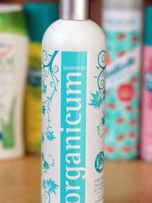 Projekt denko cz. VI