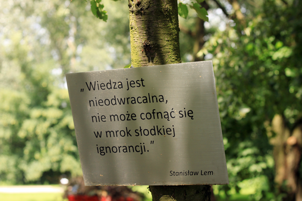 Tydzień w zdjęciach (20)