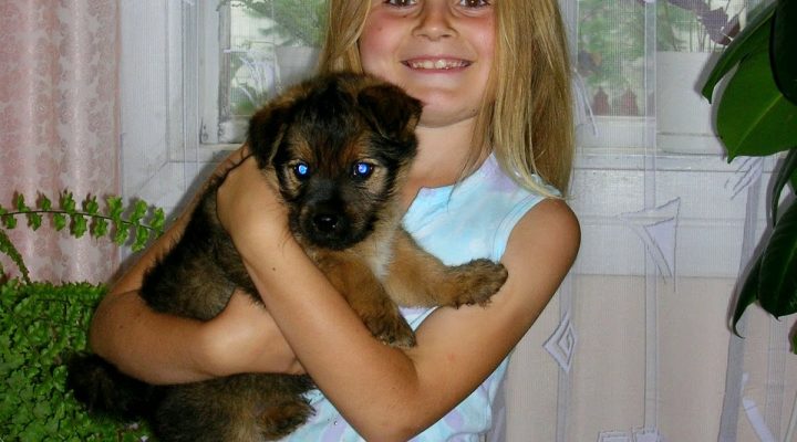 Moja włosowa historia – Kenidi