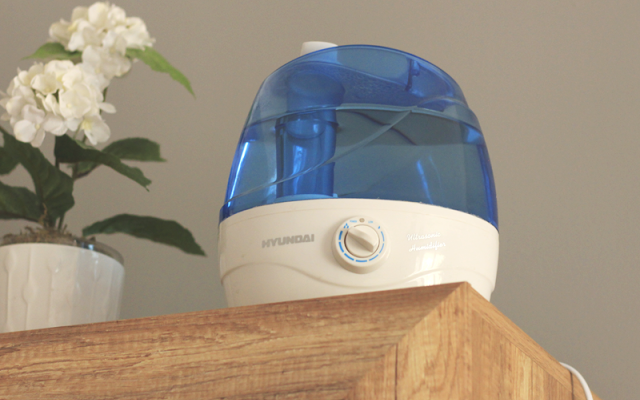 a wszystko przez te kaloryfery! czyli o tym jak suche powietrze wpływa na nasze włosy