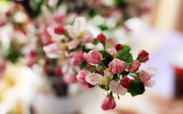 Wiosenne przesilenie a włosy?