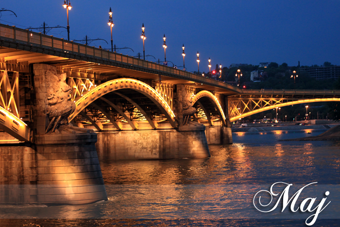 Podsumowanie 2013 roku – w zdjęciach i nie tylko :)