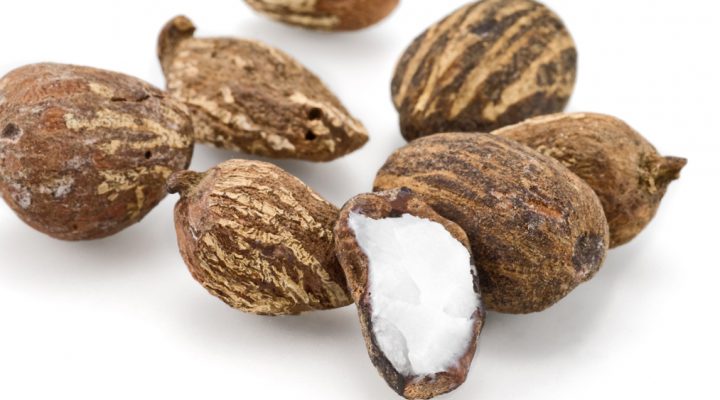 Masło shea – jak to w końcu z nim jest?