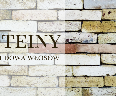 Proteiny czyli budowa i odbudowa włosów